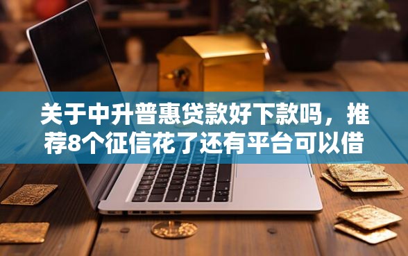 关于中升普惠贷款好下款吗，推荐8个征信花了还有平台可以借款给你