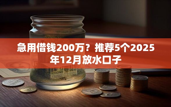 急用借钱200万？推荐5个2025年12月放水口子