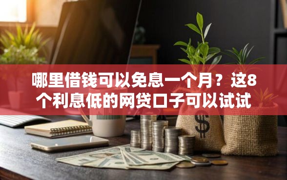 哪里借钱可以免息一个月？这8个利息低的网贷口子可以试试
