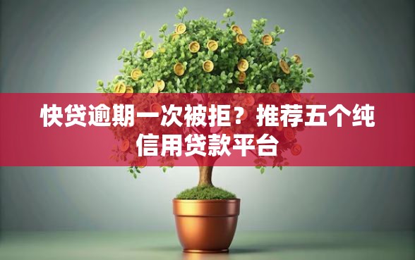 快贷逾期一次被拒？推荐五个纯信用贷款平台