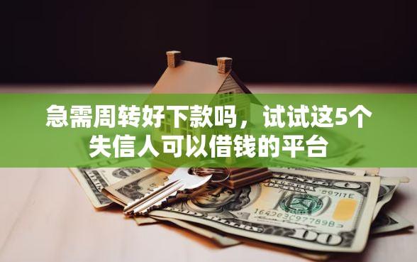 急需周转好下款吗，试试这5个失信人可以借钱的平台
