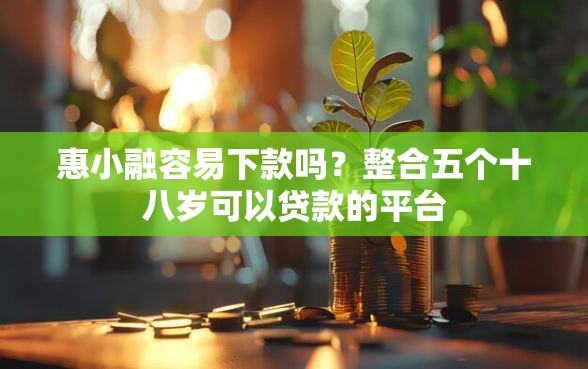 惠小融容易下款吗？整合五个十八岁可以贷款的平台