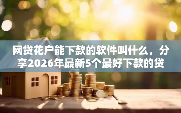 网贷花户能下款的软件叫什么，分享2026年最新5个最好下款的贷款平台