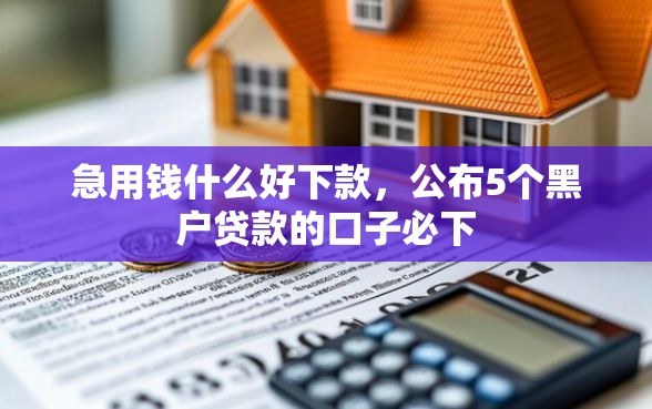 急用钱什么好下款，公布5个黑户贷款的口子必下