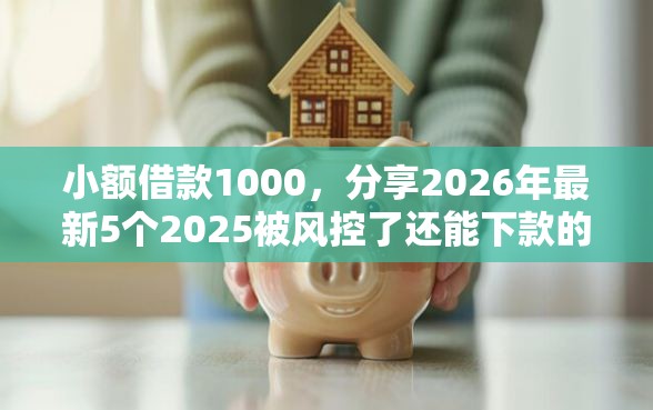 小额借款1000，分享2026年最新5个2025被风控了还能下款的平台