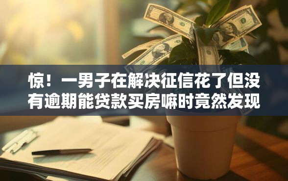 惊！一男子在解决征信花了但没有逾期能贷款买房嘛时竟然发现10个有什么正规的贷款平台，事后分享了出来