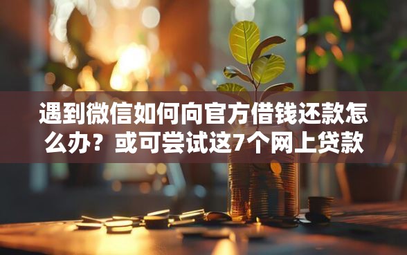 遇到微信如何向官方借钱还款怎么办？或可尝试这7个网上贷款平台好