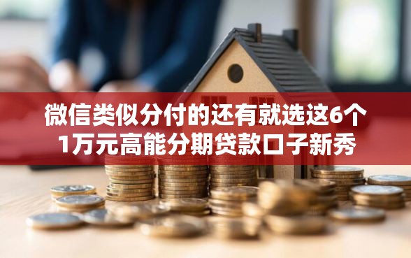 微信类似分付的还有就选这6个1万元高能分期贷款口子新秀