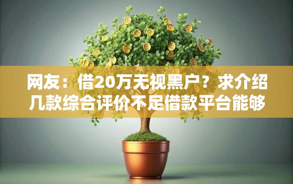 网友：借20万无视黑户？求介绍几款综合评价不足借款平台能够借到钱