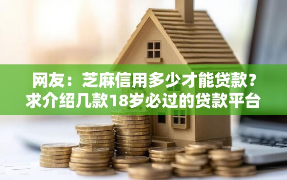 网友：芝麻信用多少才能贷款？求介绍几款18岁必过的贷款平台
