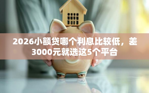 2026小额贷哪个利息比较低，差3000元就选这5个平台