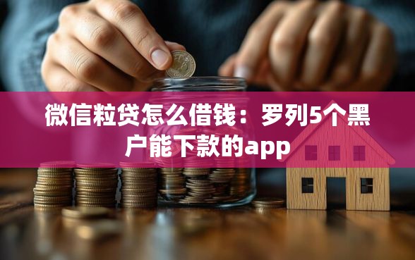 微信粒贷怎么借钱：罗列5个黑户能下款的app