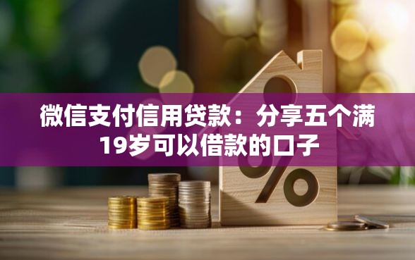 微信支付信用贷款：分享五个满19岁可以借款的口子