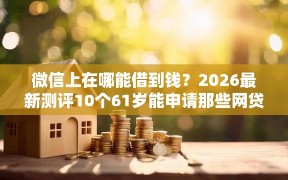 微信上在哪能借到钱？2026最新测评10个61岁能申请那些网贷平台