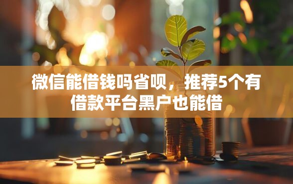微信能借钱吗省呗，推荐5个有借款平台黑户也能借
