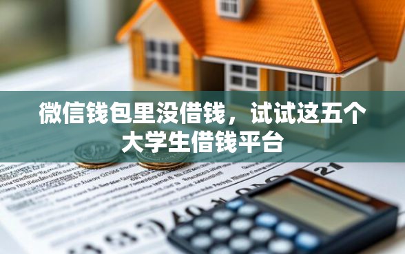 微信钱包里没借钱，试试这五个大学生借钱平台