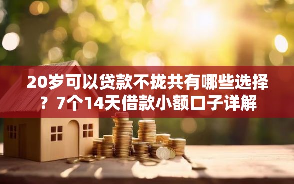 20岁可以贷款不拢共有哪些选择？7个14天借款小额口子详解