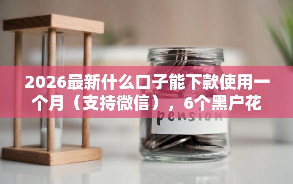 2026最新什么口子能下款使用一个月（支持微信），6个黑户花户能下款的平台无私分享