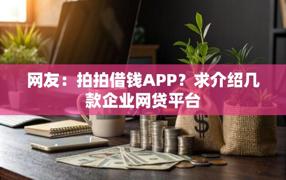 网友：拍拍借钱APP？求介绍几款企业网贷平台