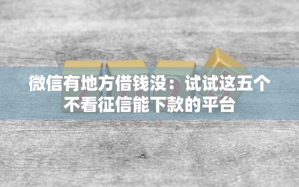 微信有地方借钱没：试试这五个不看征信能下款的平台