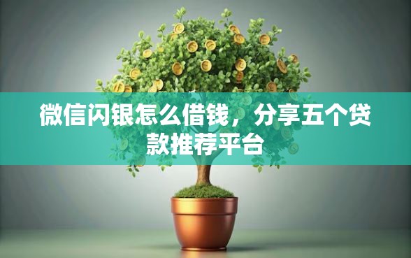微信闪银怎么借钱，分享五个贷款推荐平台