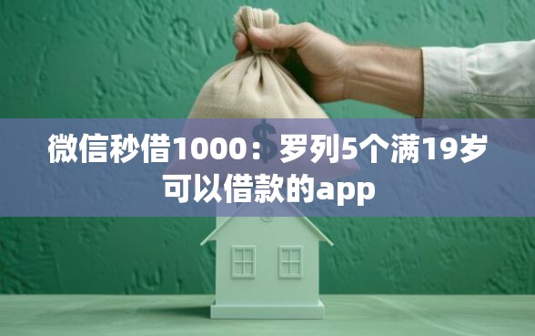 微信秒借1000：罗列5个满19岁可以借款的app