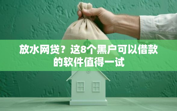 放水网贷？这8个黑户可以借款的软件值得一试