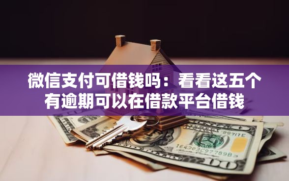 微信支付可借钱吗：看看这五个有逾期可以在借款平台借钱