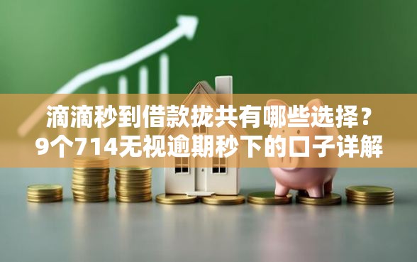 滴滴秒到借款拢共有哪些选择？9个714无视逾期秒下的口子详解