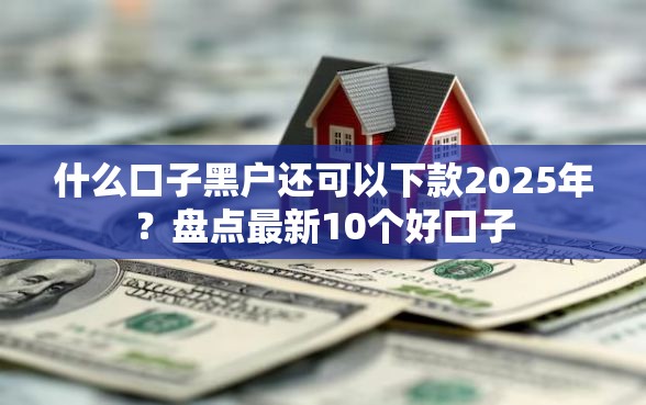 什么口子黑户还可以下款2025年？盘点最新10个好口子