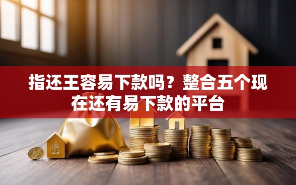 指还王容易下款吗？整合五个现在还有易下款的平台
