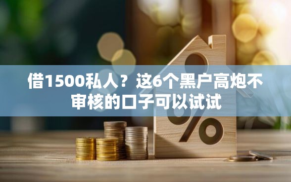 借1500私人？这6个黑户高炮不审核的口子可以试试