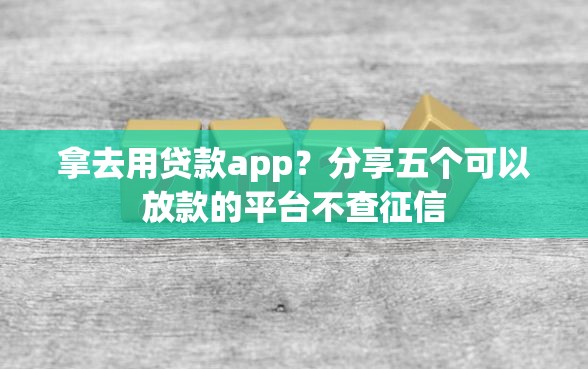 拿去用贷款app？分享五个可以放款的平台不查征信