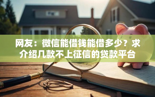网友：微信能借钱能借多少？求介绍几款不上征信的贷款平台