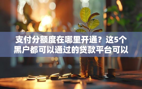 支付分额度在哪里开通？这5个黑户都可以通过的贷款平台可以试试