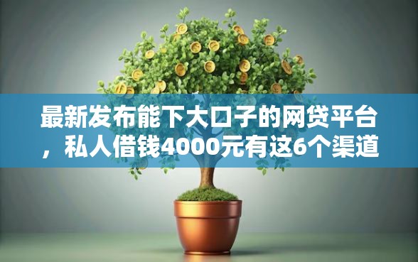 最新发布能下大口子的网贷平台，私人借钱4000元有这6个渠道