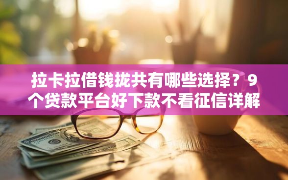 拉卡拉借钱拢共有哪些选择？9个贷款平台好下款不看征信详解