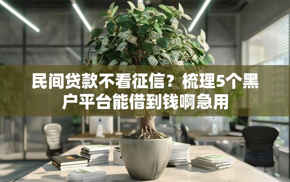 民间贷款不看征信？梳理5个黑户平台能借到钱啊急用