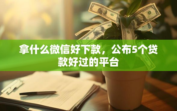 拿什么微信好下款，公布5个贷款好过的平台