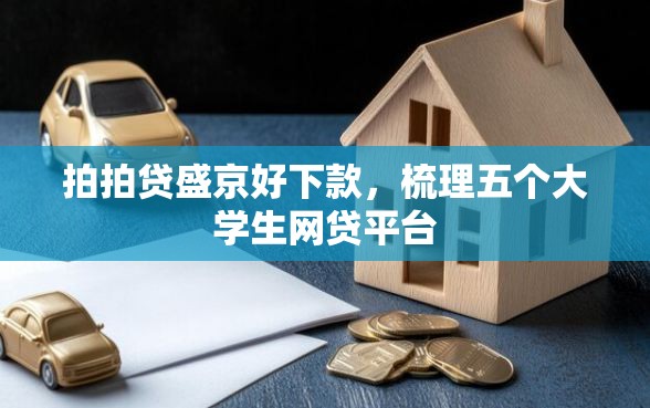 拍拍贷盛京好下款，梳理五个大学生网贷平台