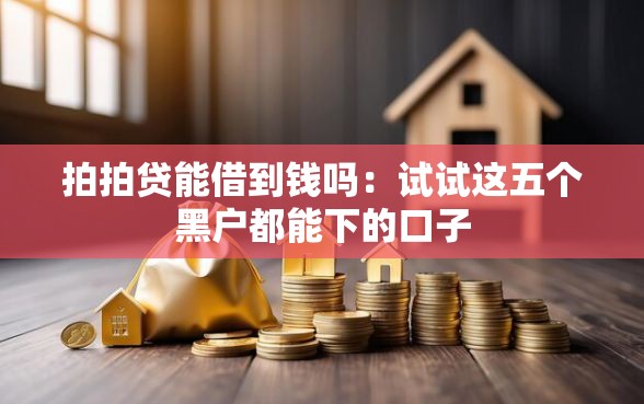 拍拍贷能借到钱吗：试试这五个黑户都能下的口子