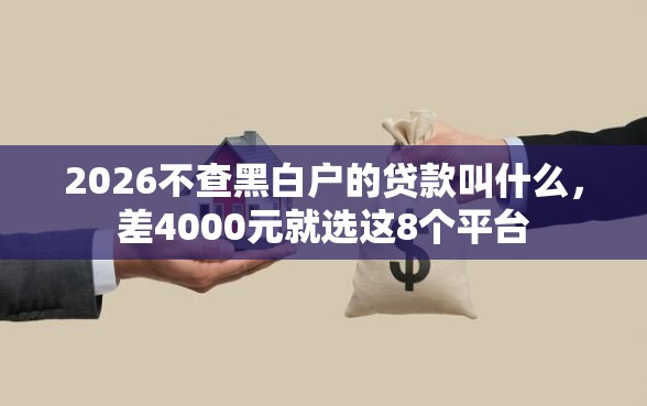 2026不查黑白户的贷款叫什么，差4000元就选这8个平台