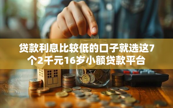 贷款利息比较低的口子就选这7个2千元16岁小额贷款平台