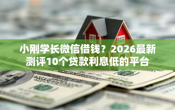 小刚学长微信借钱？2026最新测评10个贷款利息低的平台