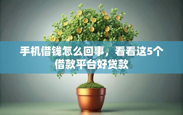 手机借钱怎么回事，看看这5个借款平台好贷款