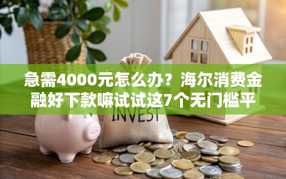急需4000元怎么办？海尔消费金融好下款嘛试试这7个无门槛平台