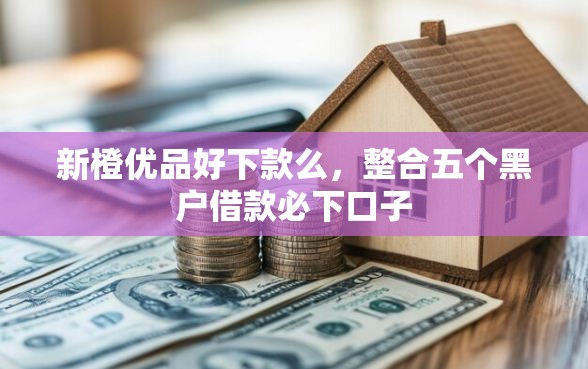 新橙优品好下款么，整合五个黑户借款必下口子