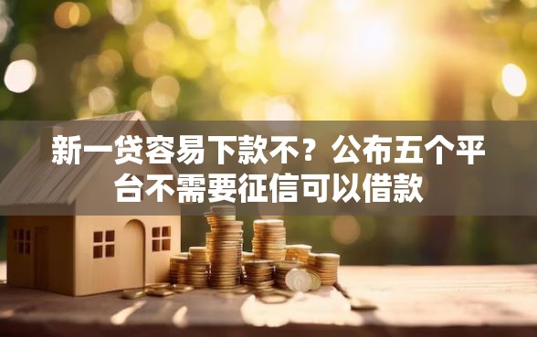 新一贷容易下款不?公布五个平台不需要征信可以借款 新一贷容易下款不?公布五个平台不需要征信可以借款