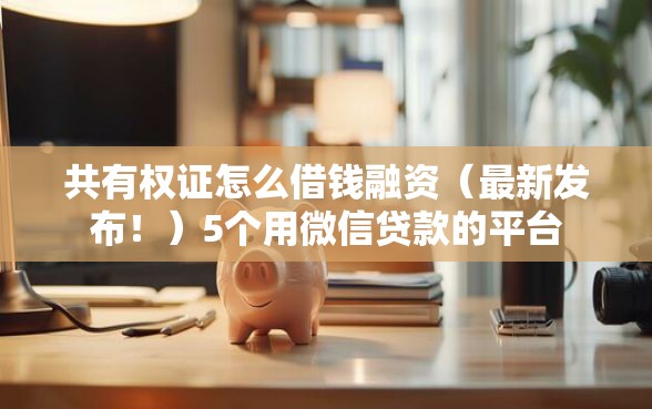 共有权证怎么借钱融资（最新发布！）5个用微信贷款的平台