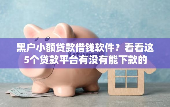 黑户小额贷款借钱软件？看看这5个贷款平台有没有能下款的